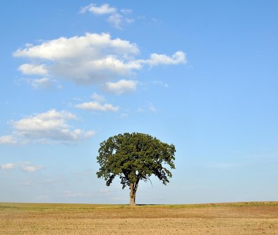 Travel